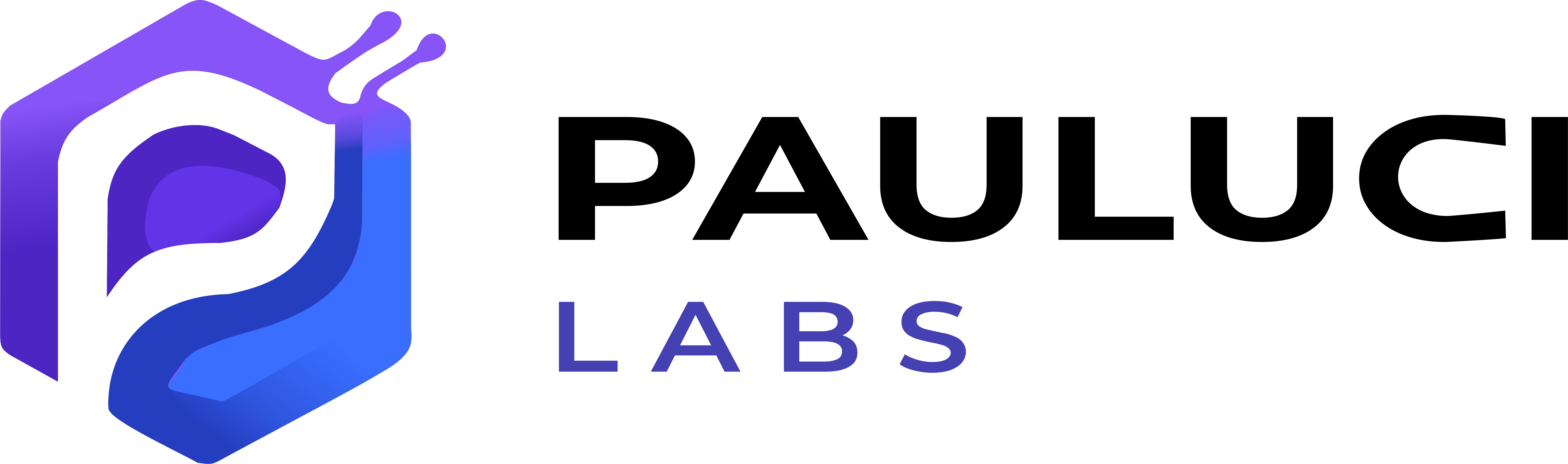 Logo da Pauluci Labs